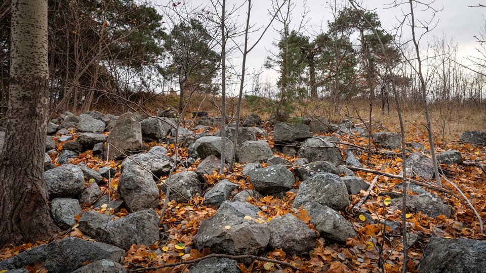 Flera stora stenar blandat med höstlöv. Tallar i bakgrunden mot en grå himmel.