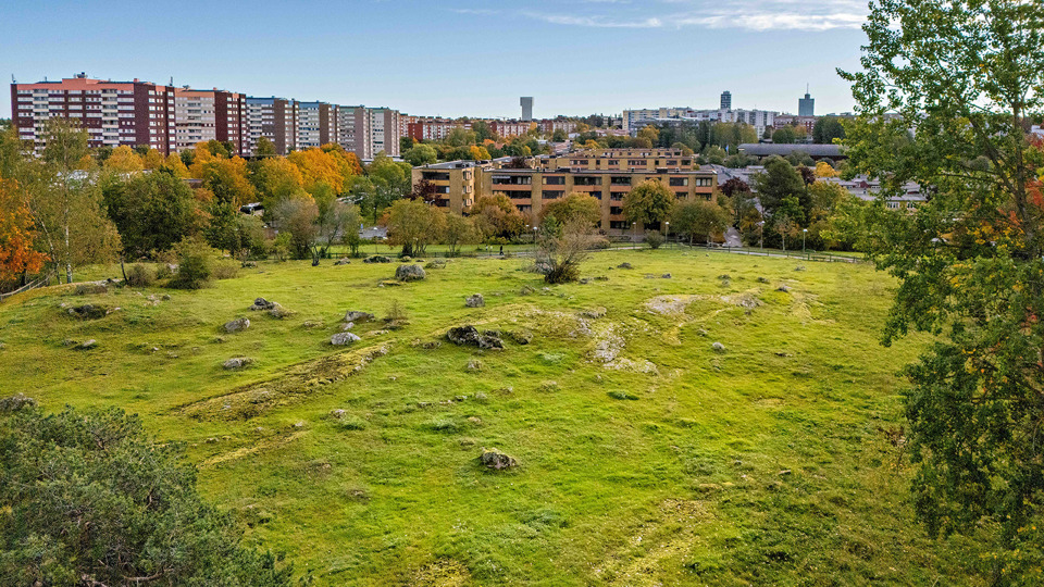 Öppen gräsyta med stenar. Runt om träd och i bakgrunden bostadshus.