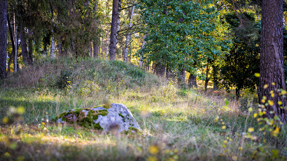 Sten och mindre kulle som omges av träd.