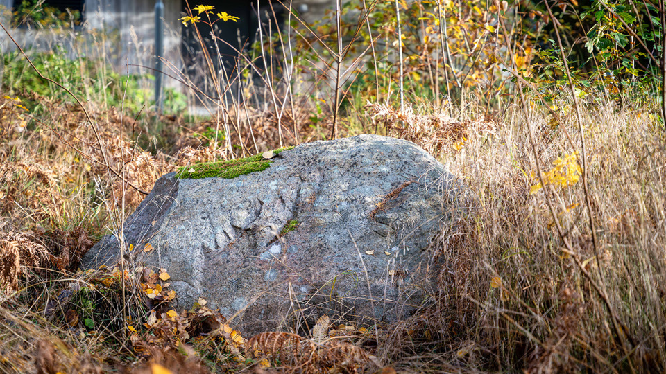 En sten på marken med högt torkat gräs som omger.