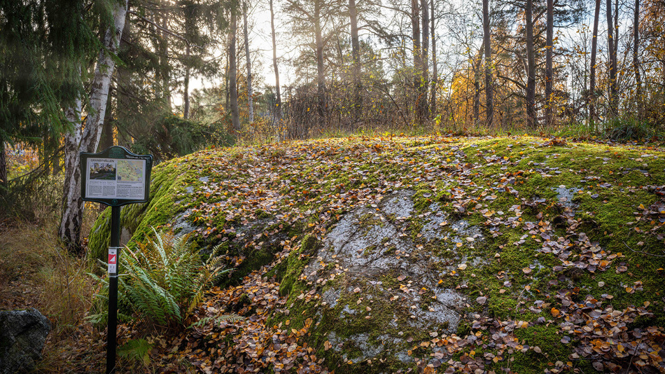 Stenhäll i skogen täckt av mossa och träd runt om.