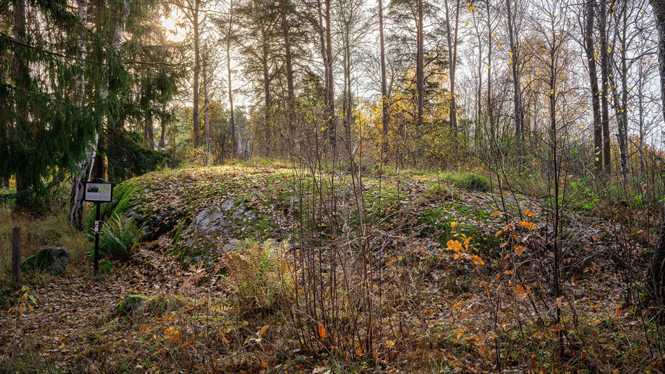 En stenhäll i skogen täckt med mossa och träd runt omkring.