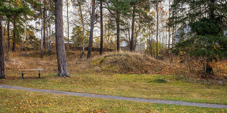 En parkbänk och en gångväg och mellan träden en liten kulle.