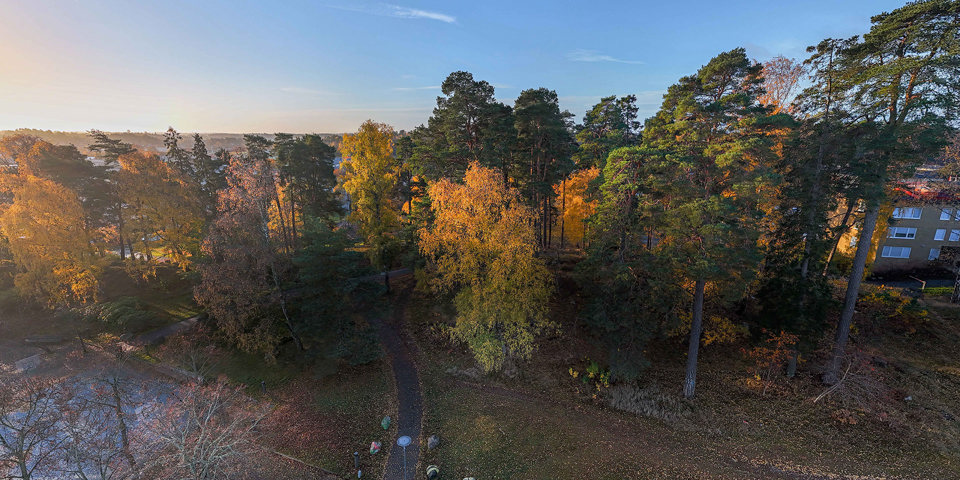 Vy över skogsområde och gångstig, foto. 