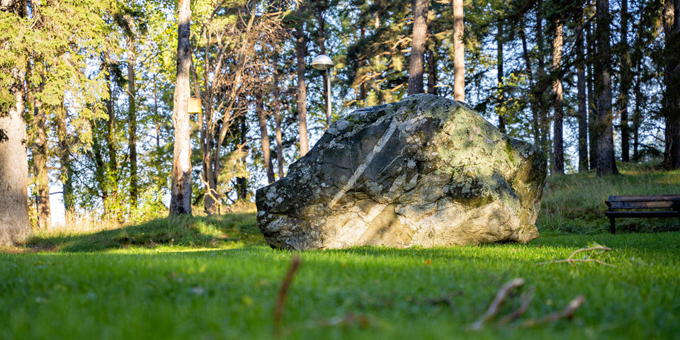 Stort, solbelyst, stenblock i skogsmiljö, foto.
