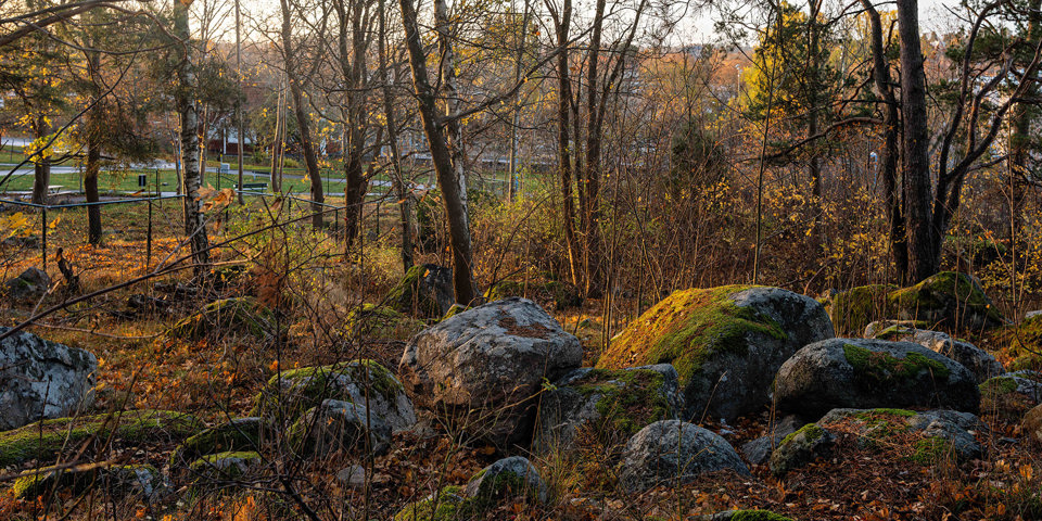 Stora, runda stenar i höstigt landskap, foto.