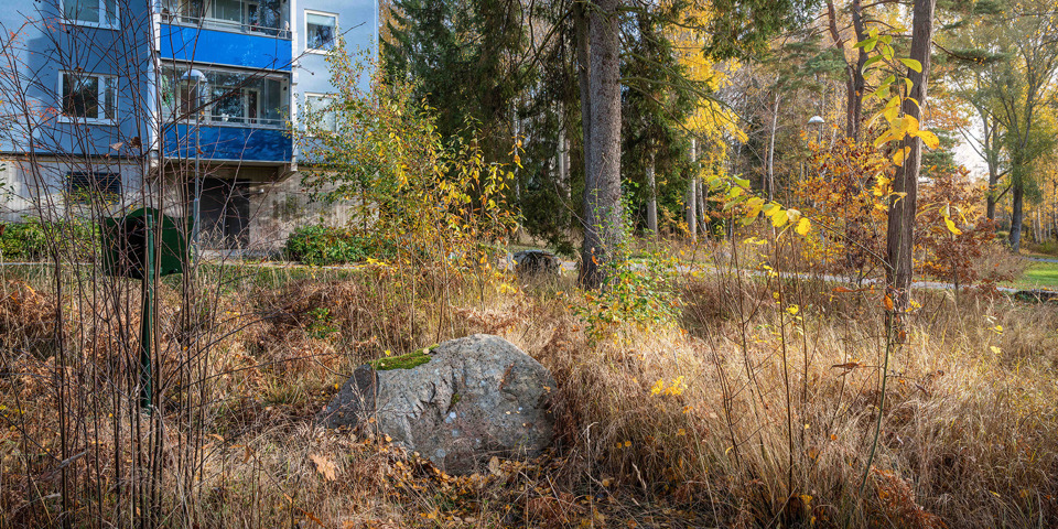 En sten på marken och några enstaka träd framför ett blått bostadshus.