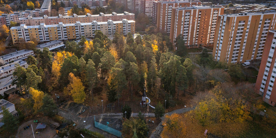 En park med träd omgiven av flerbostadshus. Parken visas snett ovanifrån,