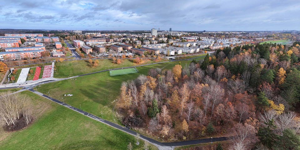 Översiktsbild över skogsområde, foto.