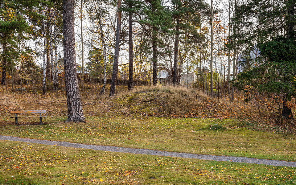 En parkbänk och en gångväg och mellan träden en liten kulle.