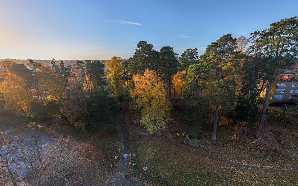 Vy över skogsområde och gångstig, foto. 