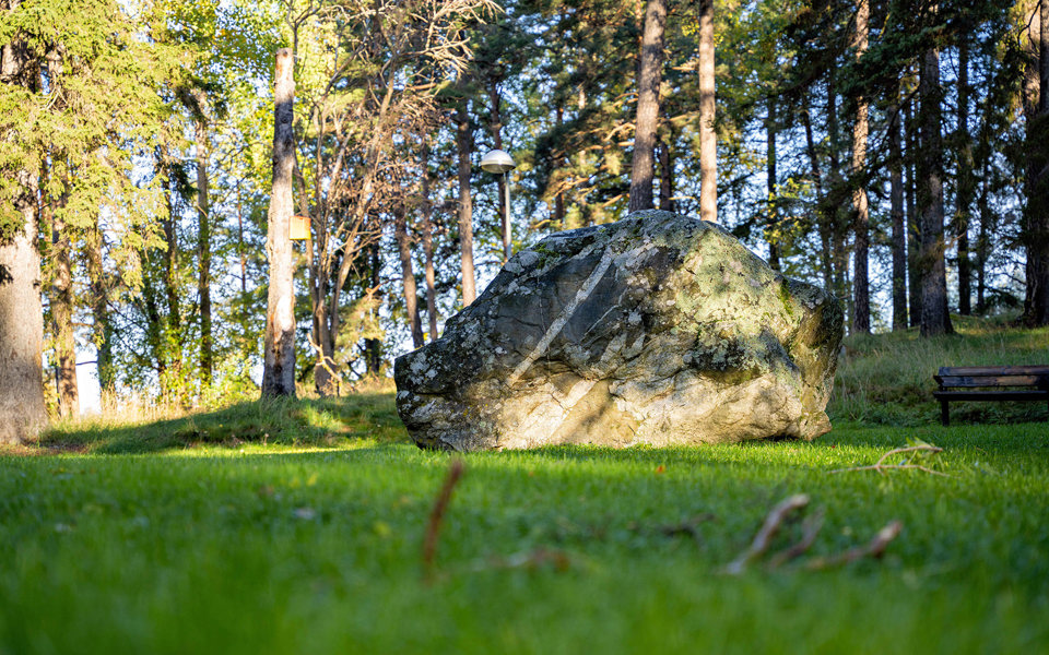 Stort, solbelyst, stenblock i skogsmiljö, foto.