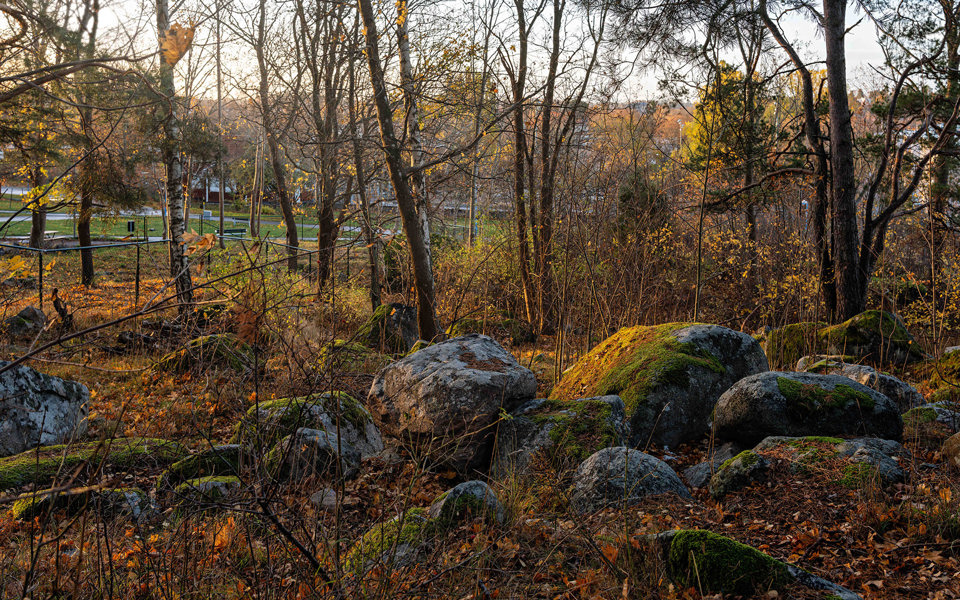 Stora, runda stenar i höstigt landskap, foto.