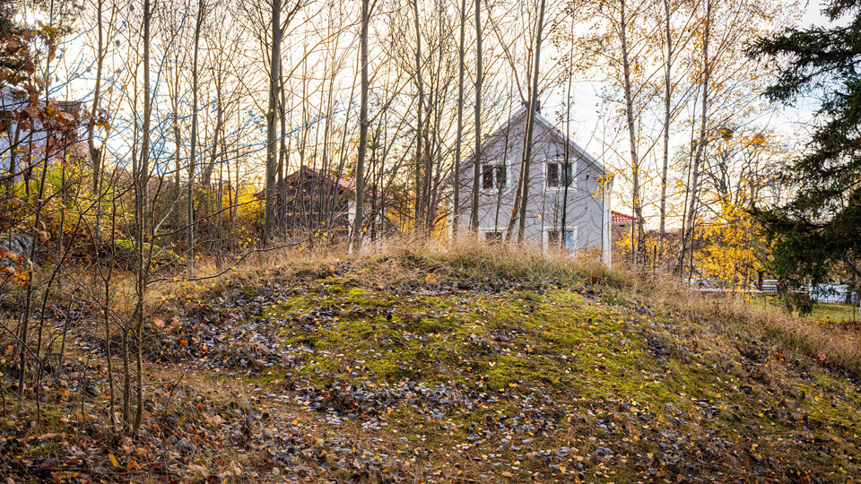 En kulle i bakgrunden bakom några träd syns ett bostadshus.