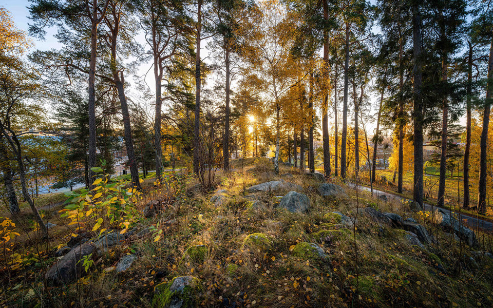 Solbelyst kulle med stenar och träd i höstfärger, foto. 