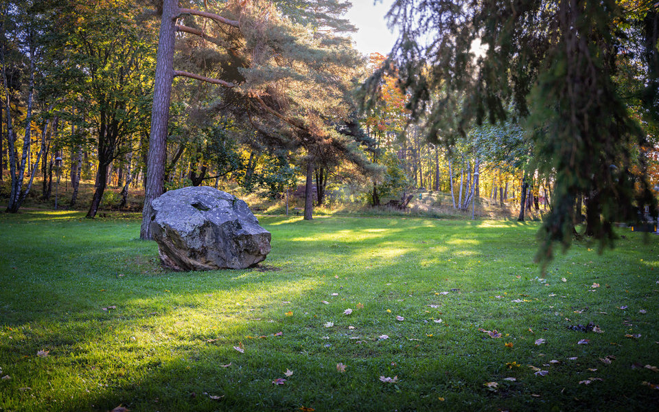 Stort stenblock på gräsmatta vid skogsdunge, foto.