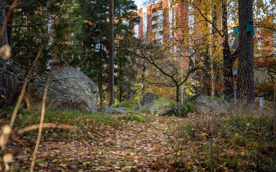 En gångstig i en skog, stigen är kantat med stora stenar. Ett bostadshus syns i bakgrunden.