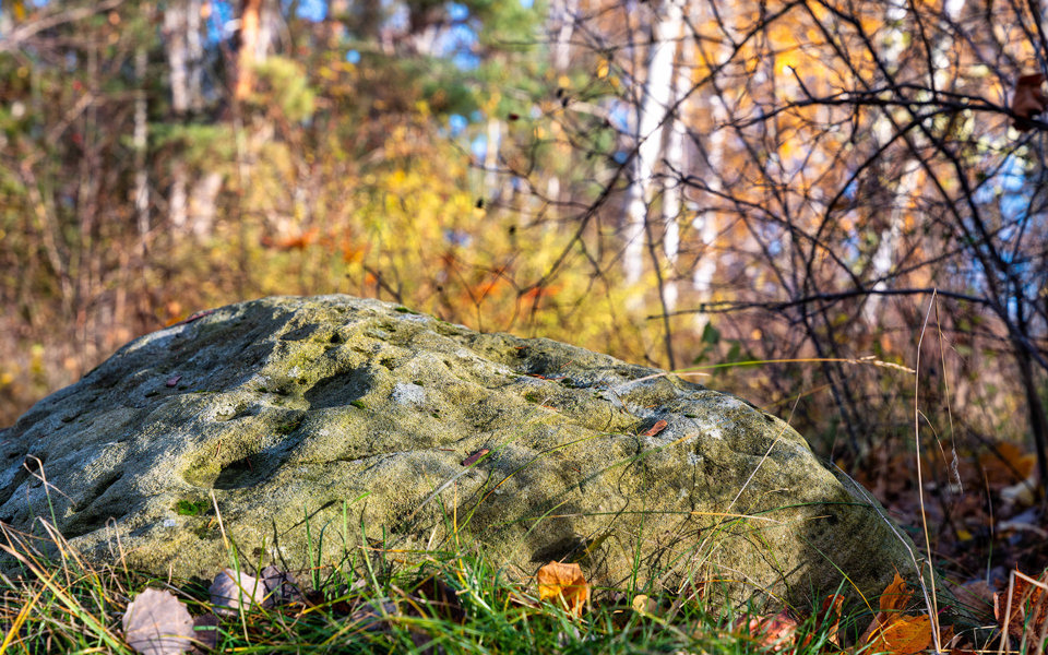 Närbild på gropig sten, foto. 