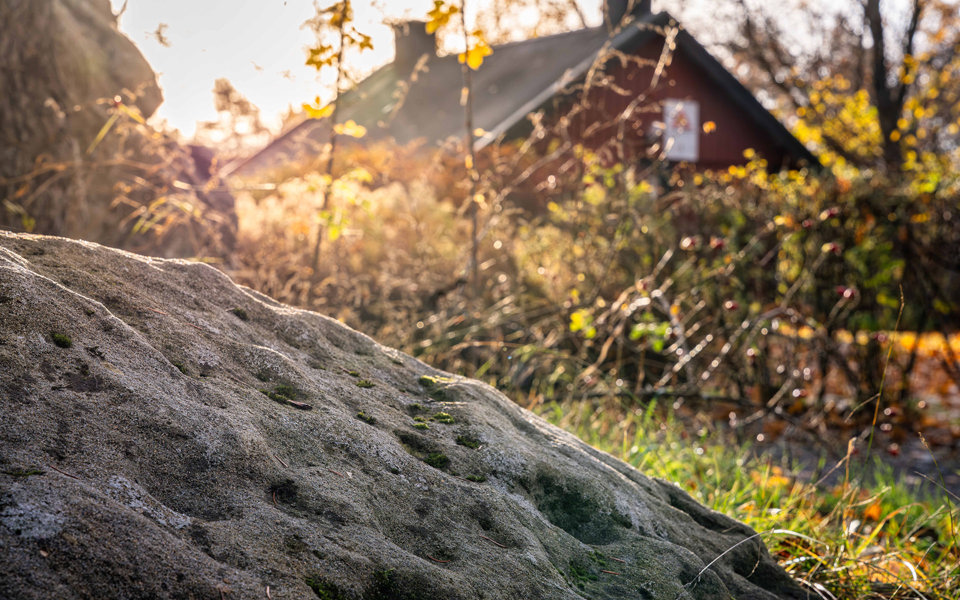 Närbild på gropig sten intill röd stuga, foto.