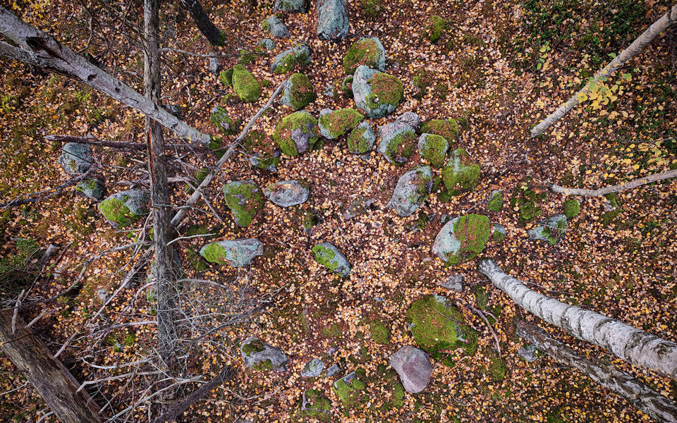 Stenar i cirkel på marken, täckta med löv och mossa, foto.