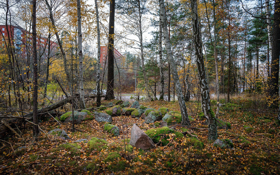 Stenar i cirkel på marken, täckta av löv, foto.